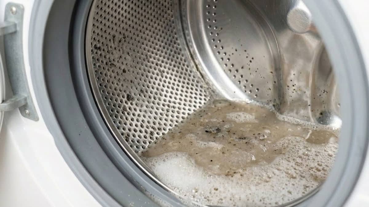 세탁기 전용 클리너 따로 사지 마세요…’이 가루’ 2컵이면 곰팡이·악취 한 번에 사라집니다