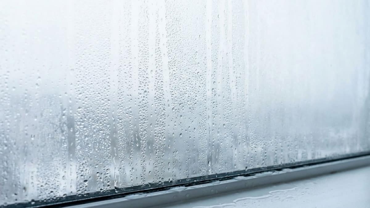 창문 결로 ‘이 액체’ 한 방울만 뿌려보세요…창틀에 물 안 고입니다