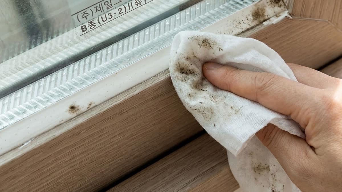 창틀은 물티슈로 닦지 말고 ‘이렇게’ 해보세요…닦을수록 번지던 오염 싹 잡아줍니다