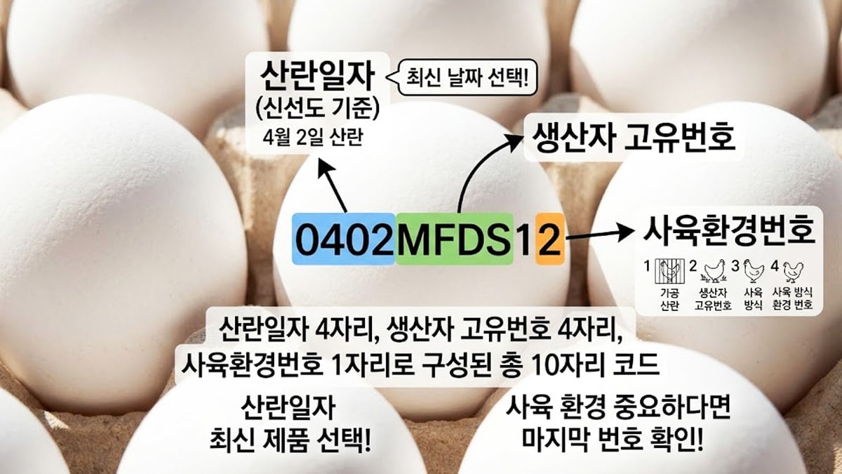 달걀 껍데기 코드 읽는 법
