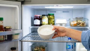 베이킹소다를 냉장고에 넣는 모습