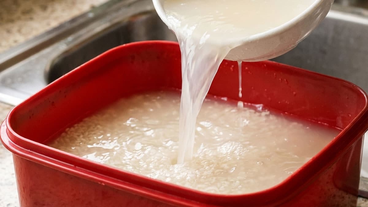 냄새 안빠지는 김치통에 ‘이 물’ 부어보세요…하루 지나면 냄새 싹 제거 됩니다