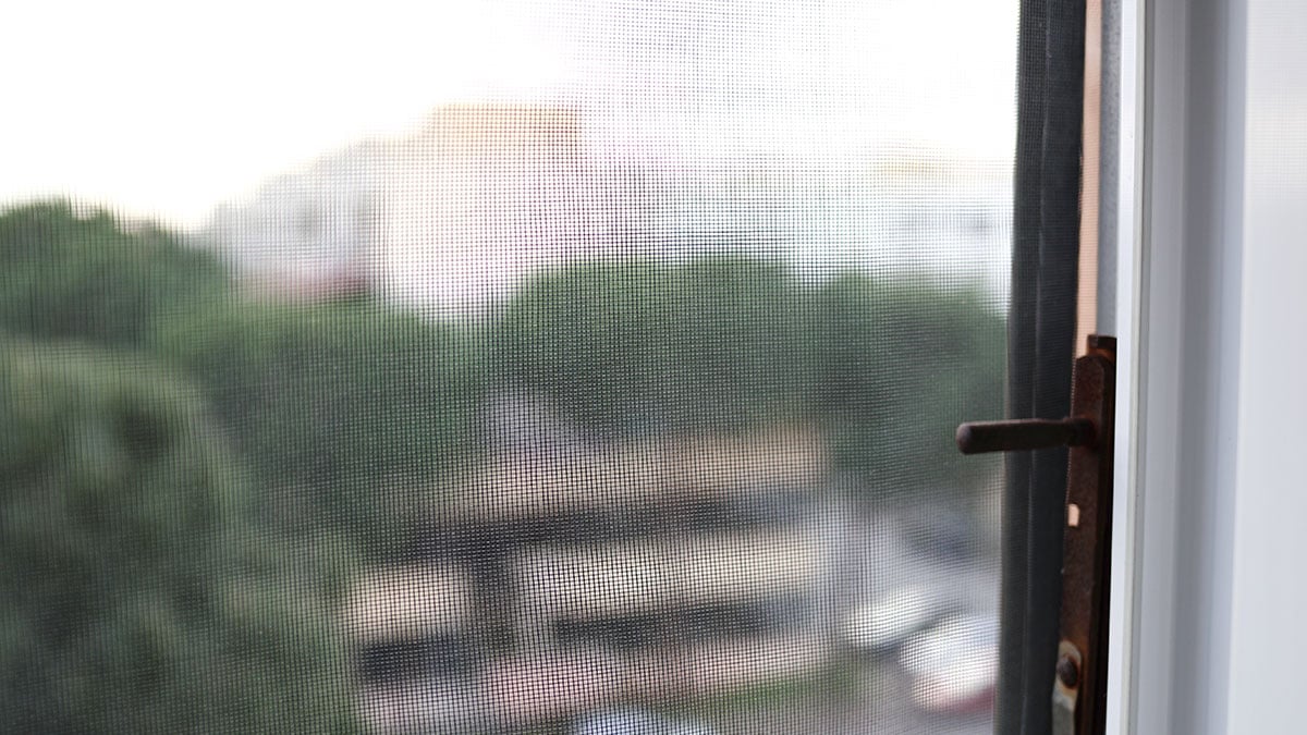 방충망 청소 ‘이렇게’ 해보세요…힘 안 들이고 양면 기름때 동시에 제거 됩니다