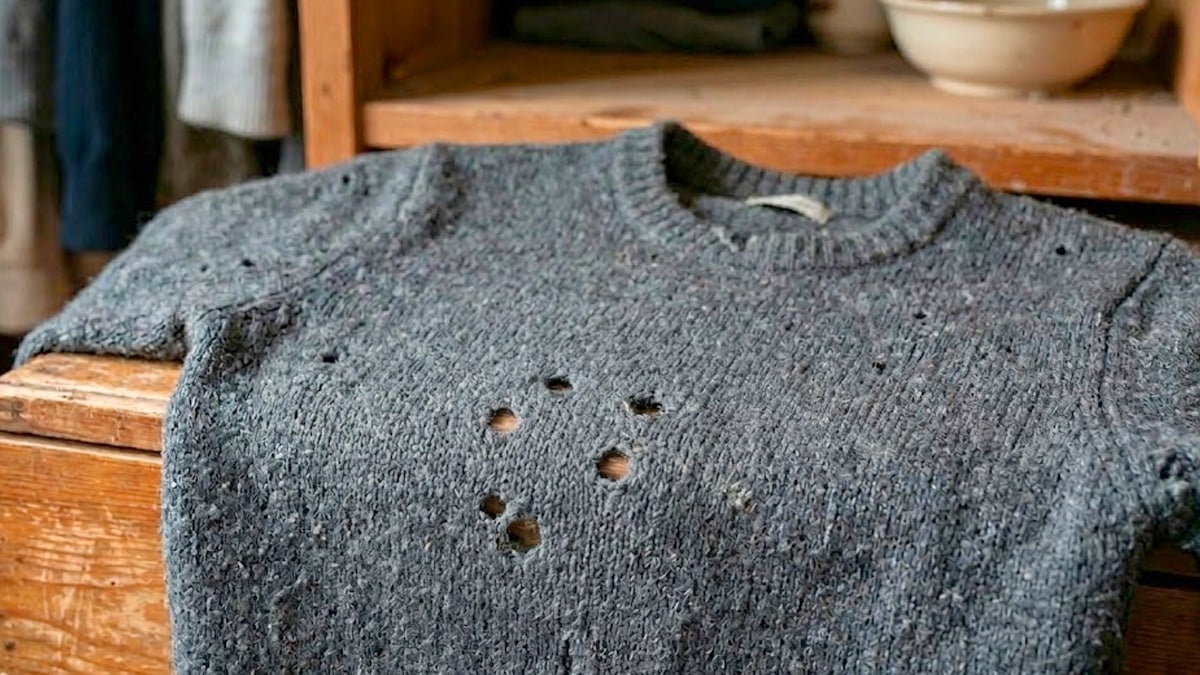 좀벌레 먹은 스웨터 좀벌레 먹은 스웨터