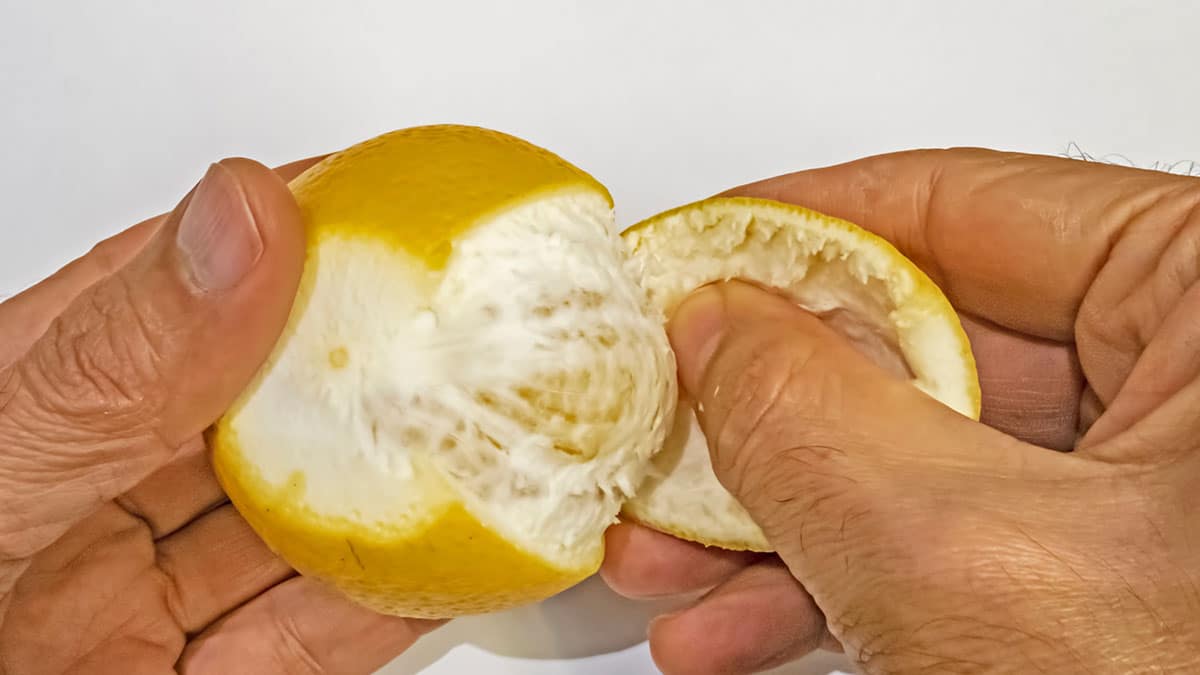 매번 버리던 레몬 껍질 얇게 갈아 ‘이렇게’ 써보세요…이제 그냥 버릴 일 없습니다