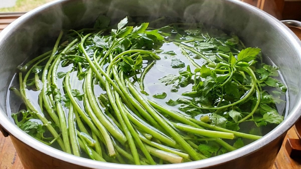소금물에 ‘이 봄나물’ 딱 1분만 데쳐보세요…초무침 식감 2배 살리는 황금 조리법