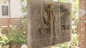 신문지로 방충망 청소하는 법