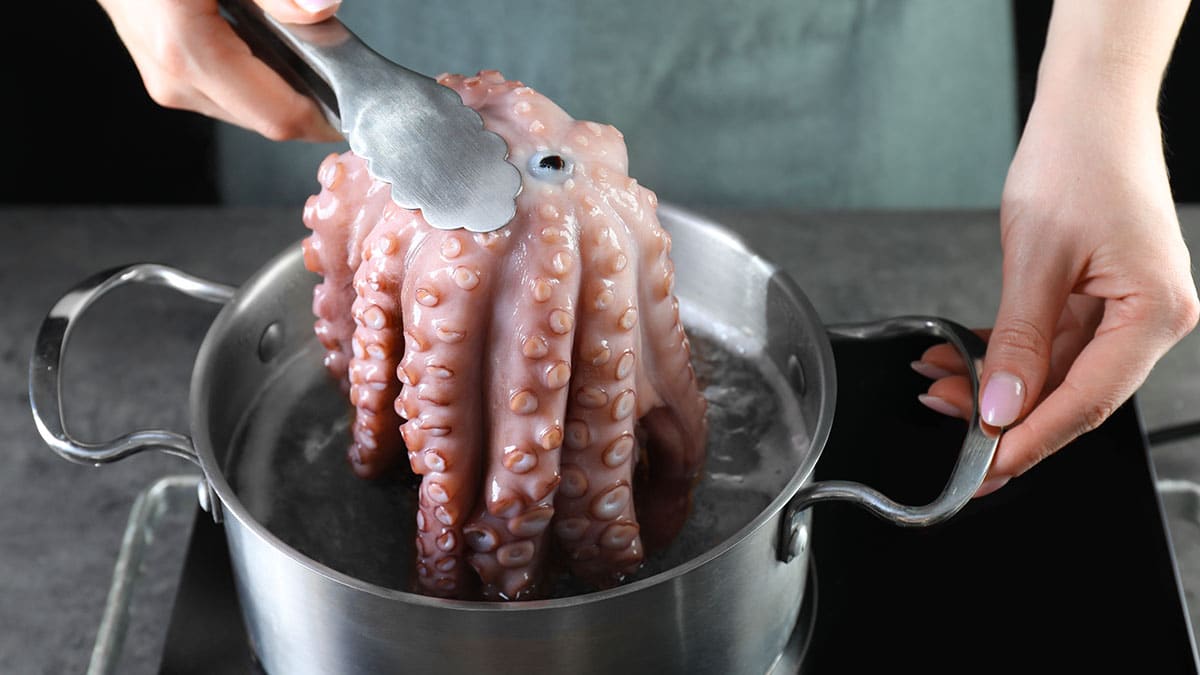 문어 삶을 때 ‘이 재료’ 깔아보세요…쫄깃한 식감 살리는 최고의 방법입니다