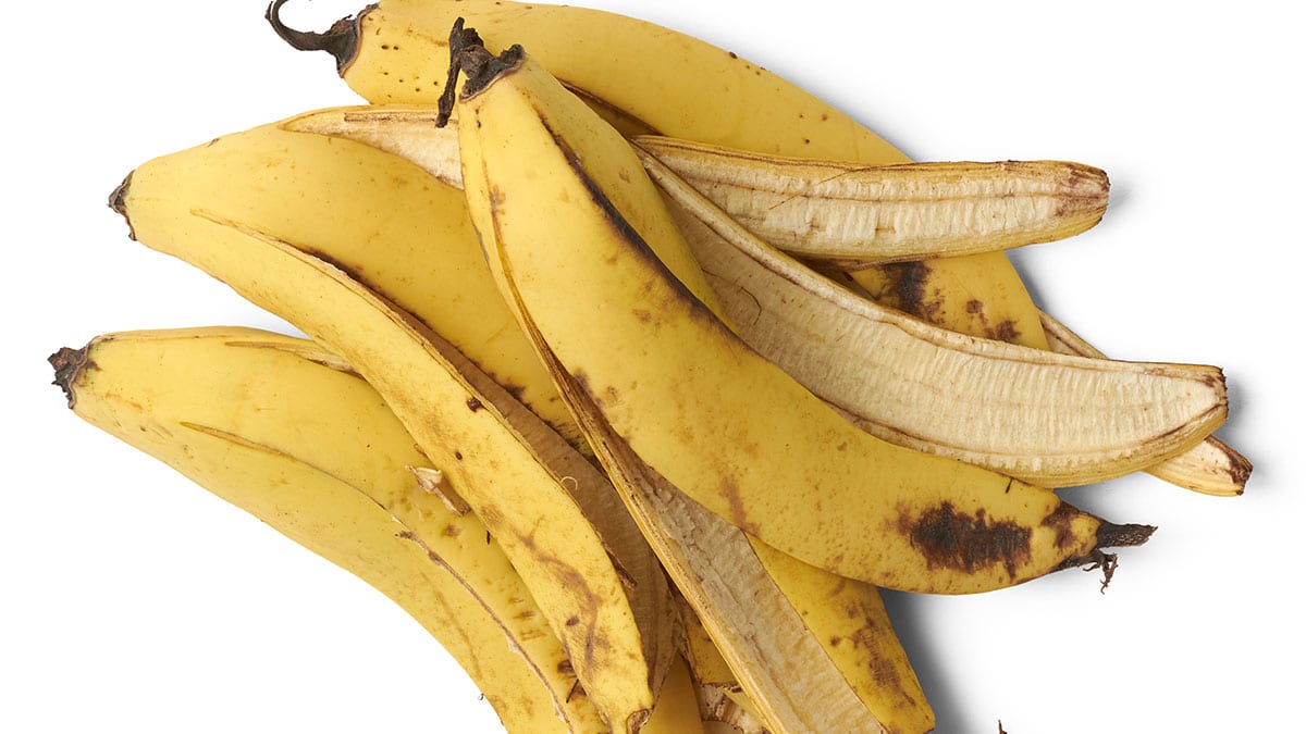 바나나껍질 바나나껍질