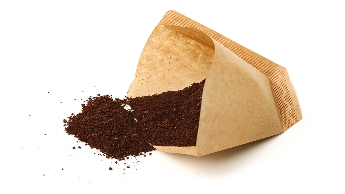 커피 찌꺼기 커피 찌꺼기