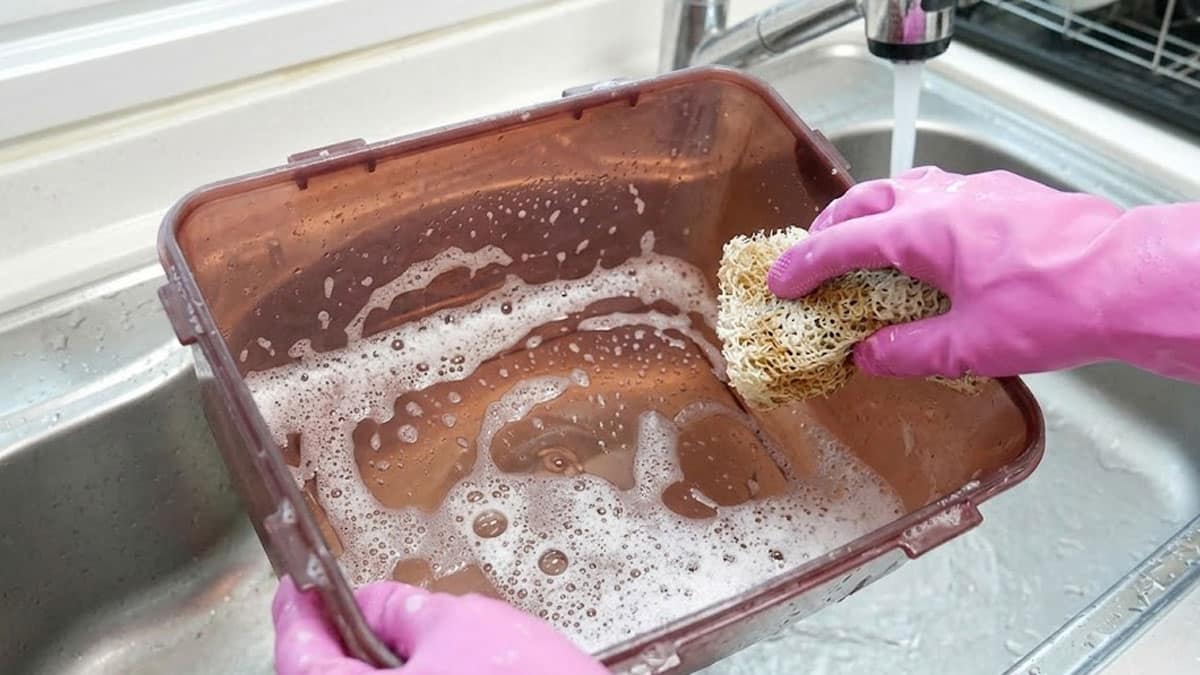 냄새나는 김치통 ‘전자레인지’에 돌려보세요…2시간 뒤 냄새 싹 사라집니다