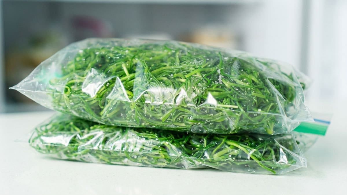 소금 간 하지 마세요…알고 보니 자체 염분 있어 양념 절반만 써야 하는 ‘이 나물’