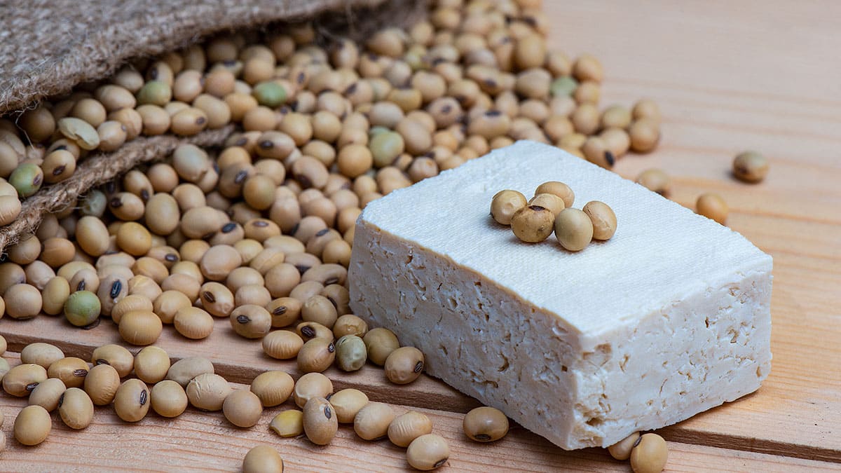 대두, 두부 대두, 두부