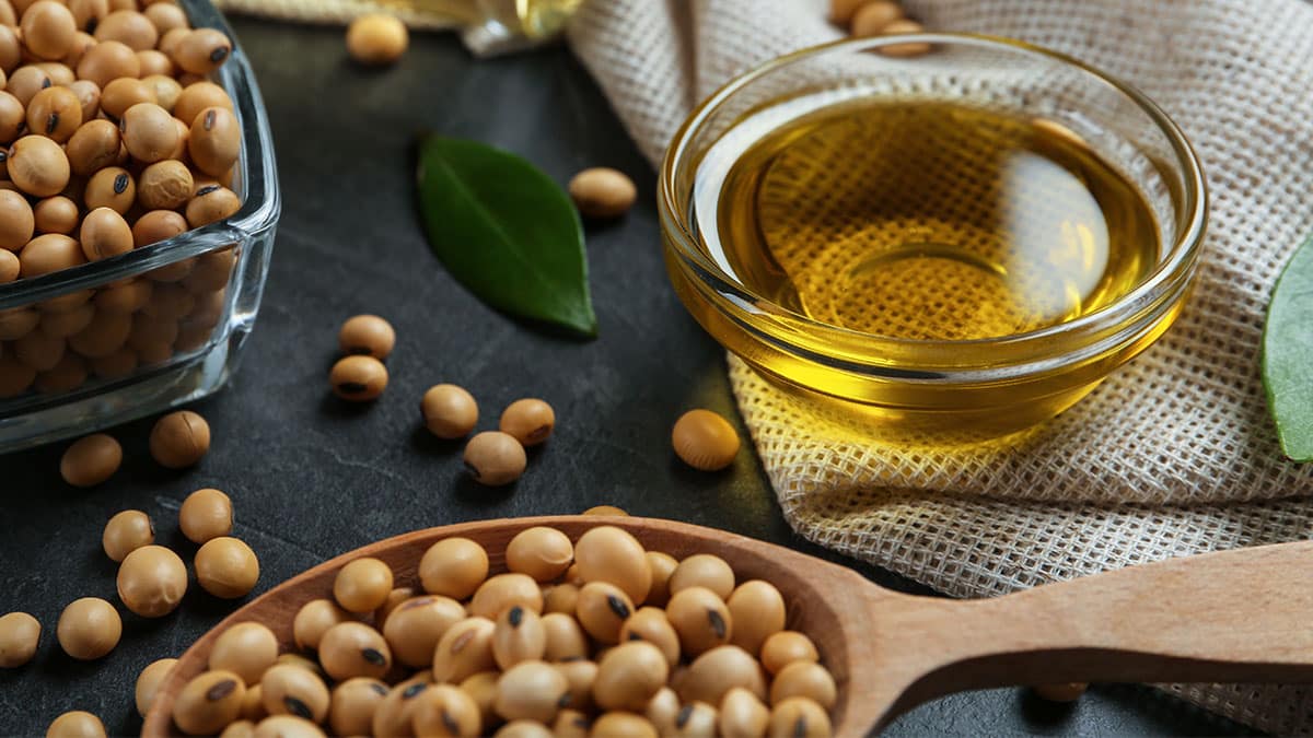 대두 기름 대두 기름