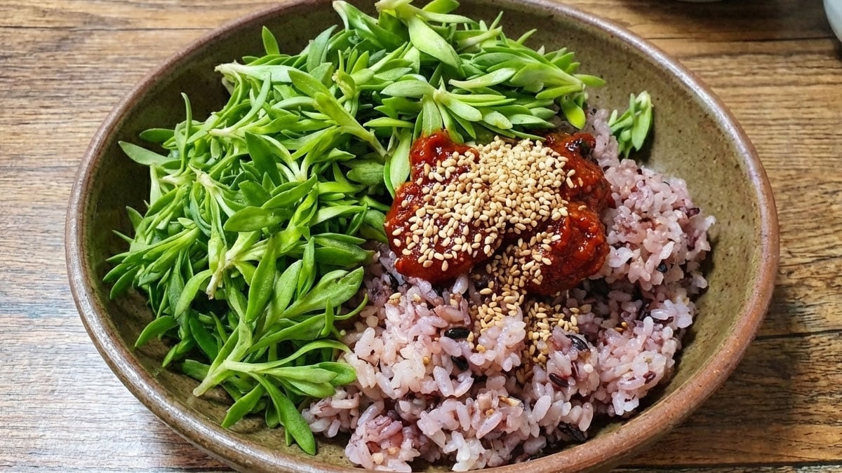 돌나물 비빔밥 돌나물 비빔밥
