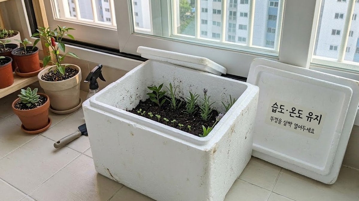 스티로폼 아이스박스 활용법 스티로폼 아이스박스 활용법