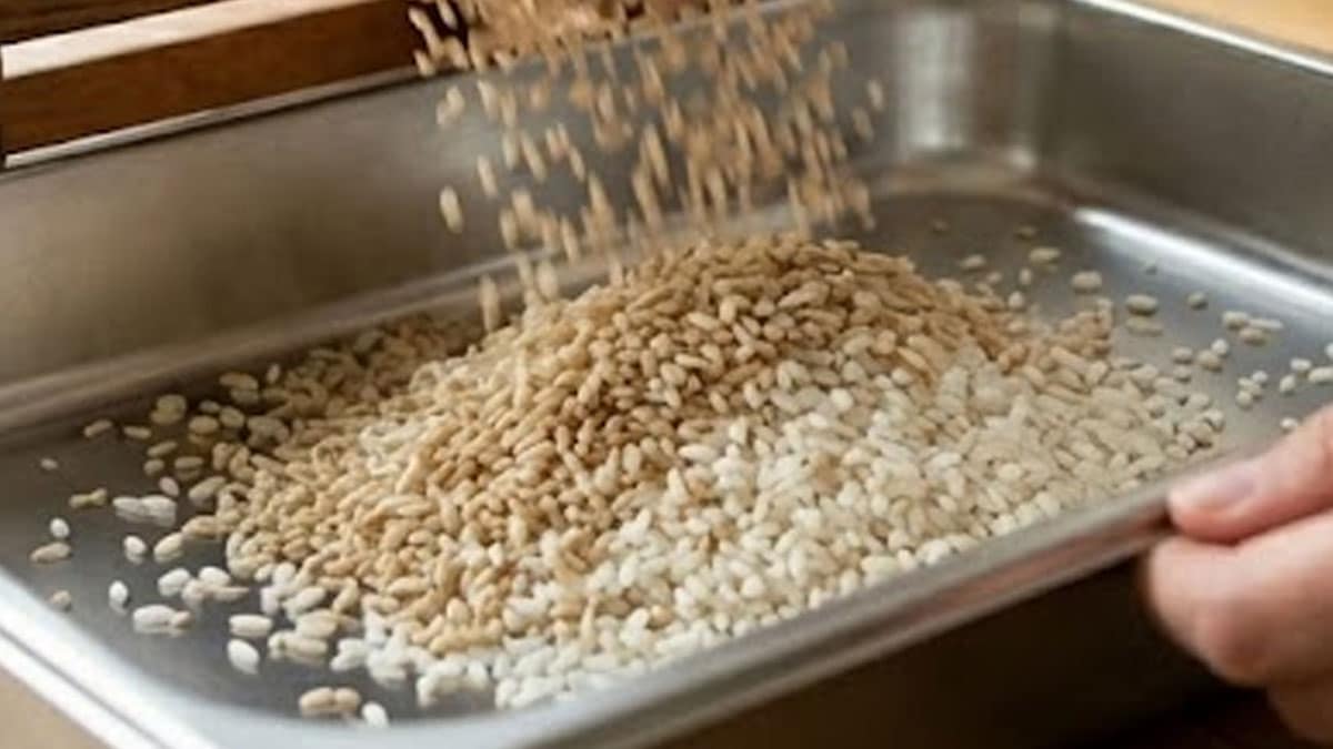 현미 백미 현미 백미