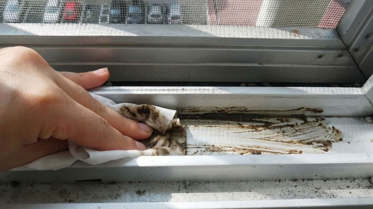 물티슈로 닦지 말고 ‘이렇게’ 해보세요… 창틀 흙먼지, 진흙 되지 않고 싹 없어집니다