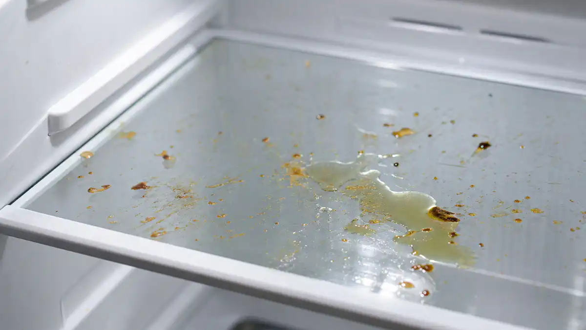“냉장고 끈적한 얼룩에 ‘이 액체’뿌려보세요”… 힘줘서 닦을 필요 없이 깨끗해집니다