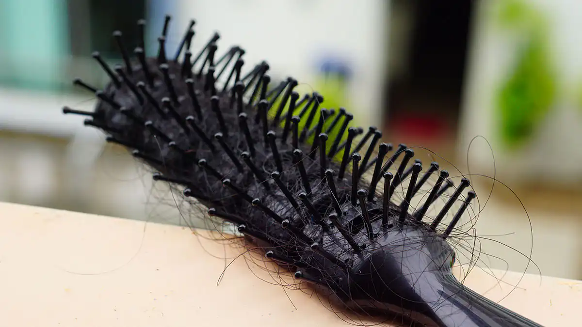 빗 빗